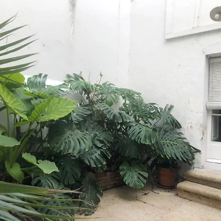 Apartamentos Tukasa Vintage Caces Zewnętrze zdjęcie